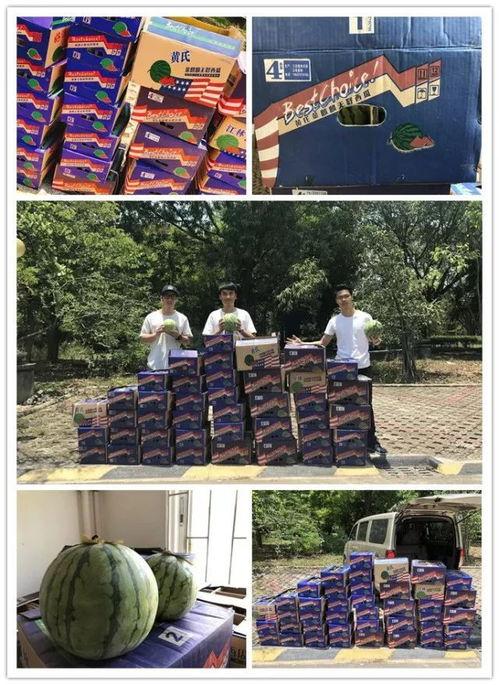 吃瓜大世界的图片,揭秘娱乐圈的甜蜜与苦涩